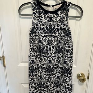 Loft shift dress NWOT.